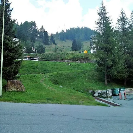 Cime D'oro *