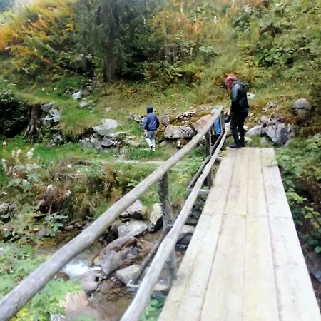 Cime D'oro