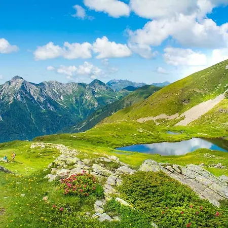 Cime D'oro